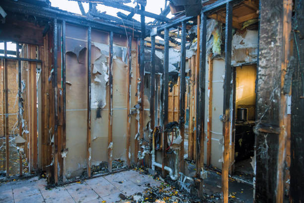 Professional Fire Damage Cleanup technician working in Lumberton, TX